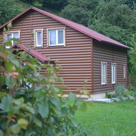 Pid Lisochkom Verkhovyna Extérieur photo